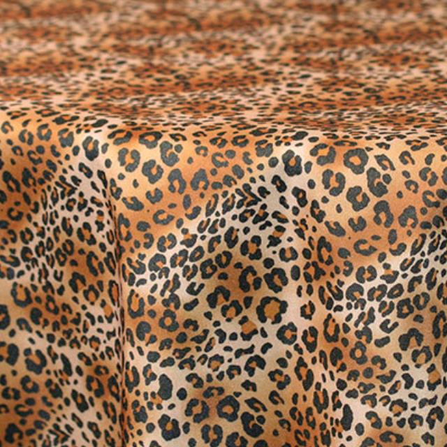 Rental store for Leopard in Sunnyvale CA