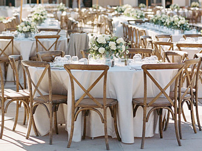 Rent Chairs - Specialty